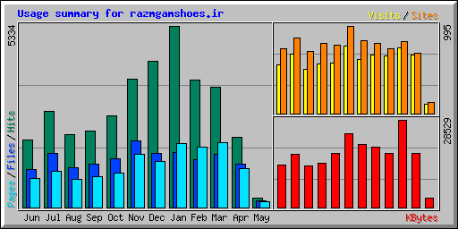 Usage summary for razmgamshoes.ir